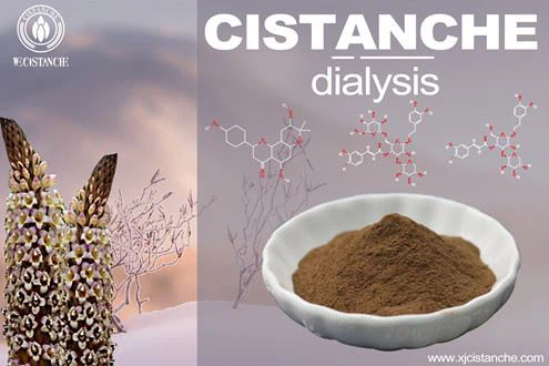 Cistanche-kidney dialysis Cistanche-kidney dialysis