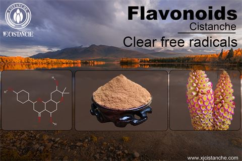 flavonoids clear free radicals flavonoids clear free radicals