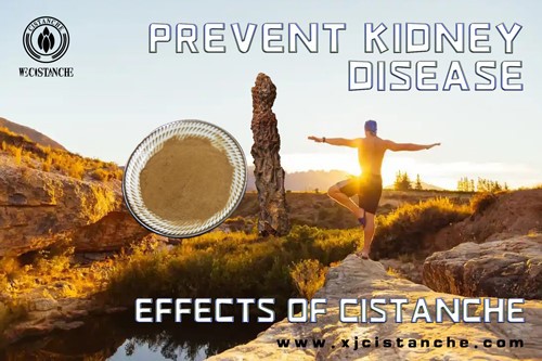natural herb for kidney disease natural herb for kidney disease