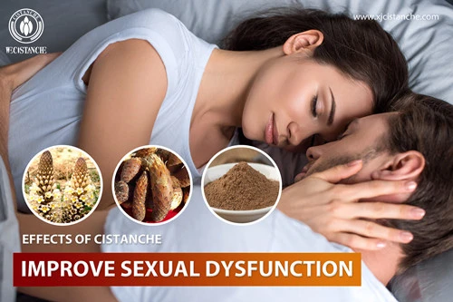 Cistanche benefits to improve sexual dysfuction