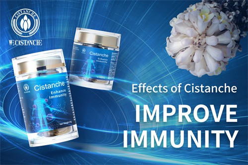 maca ginseng cistanche for improving immunity