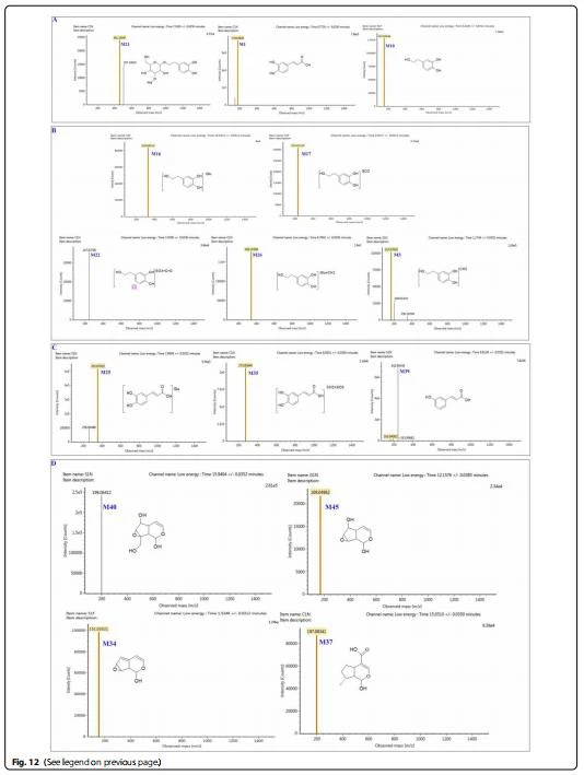 cistanche tablets benefits