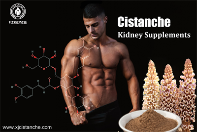 cistanche norge