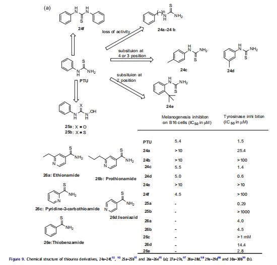 cistanche supplement review