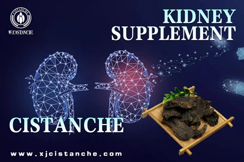 what is cistanche used for