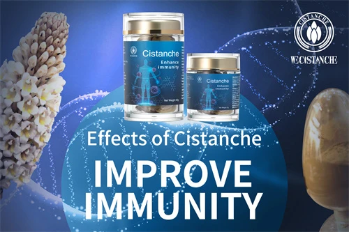 cistanche adalah