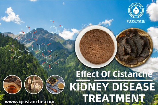 BEST HERBS FOR kidney disease