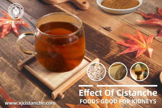 CISTANCHE TO WORK FOR KIDNEY