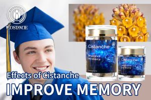 improve memory