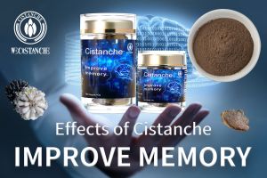 short term memory how to improve