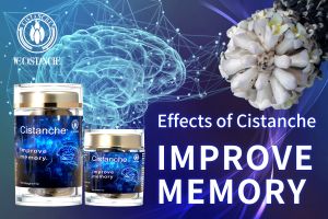 ways to improve memory