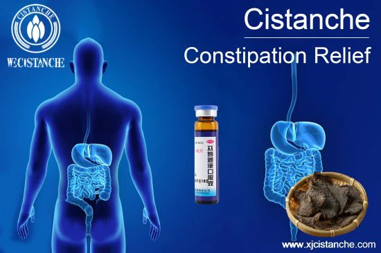 cistanche for inflammatory bowel 5 cistanche for inflammatory bowel 5